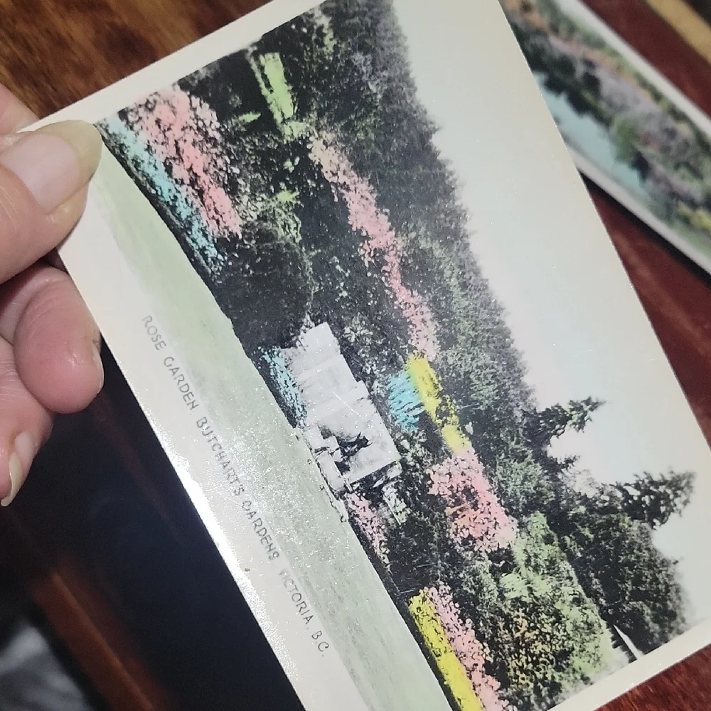 Vintage Postcard Set - Butchart Gardens, Victoria, BC - Picture 3 of 5